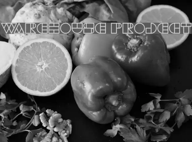 WAREHOUSE PROJECT Font examples