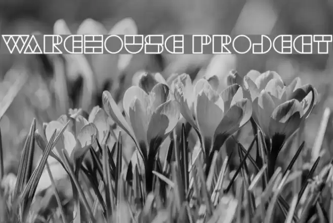 WAREHOUSE PROJECT Font examples