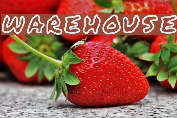 WAREHOUSE Font examples