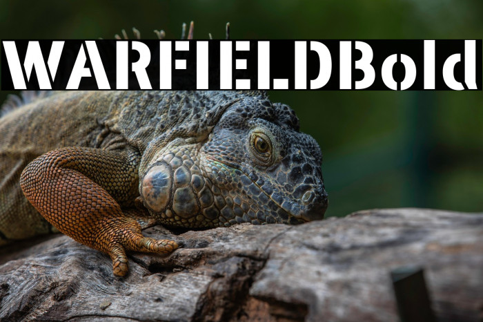 WARFIELD Bold Example 2