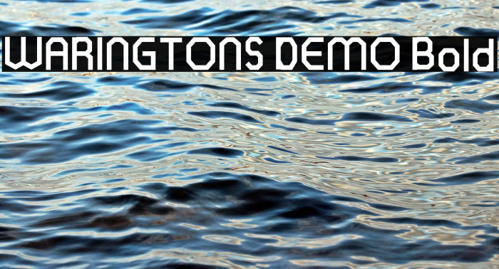 WARINGTONS DEMO Bold Example 2
