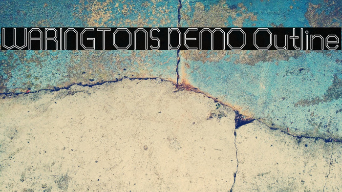 WARINGTONS DEMO Outline Example 1