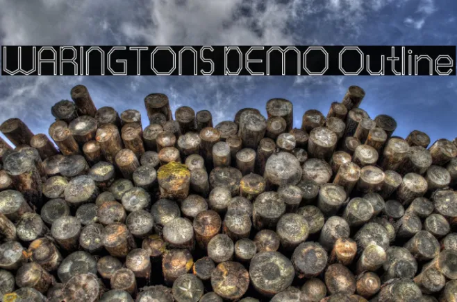 WARINGTONS DEMO Outline Example 3