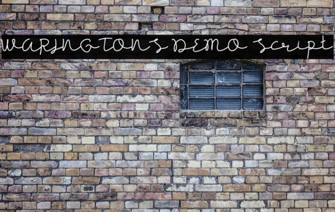 WARINGTONS DEMO Script Example 1