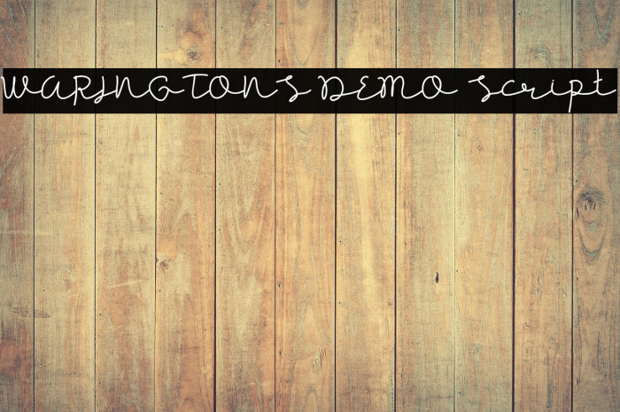 WARINGTONS DEMO Script Example 2