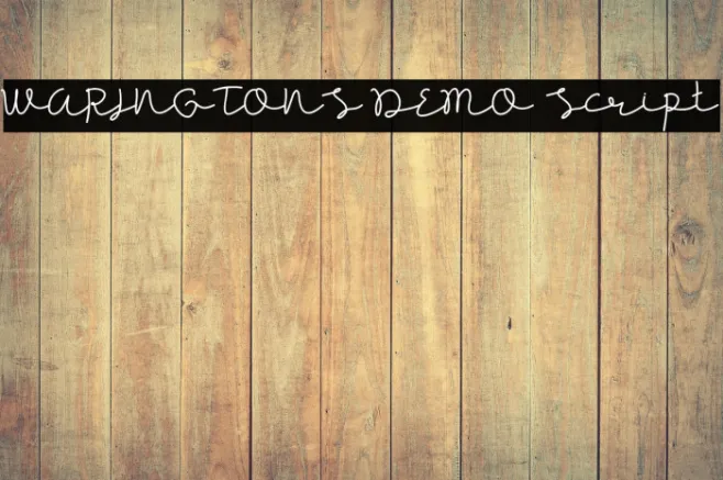 WARINGTONS DEMO Script Example 2