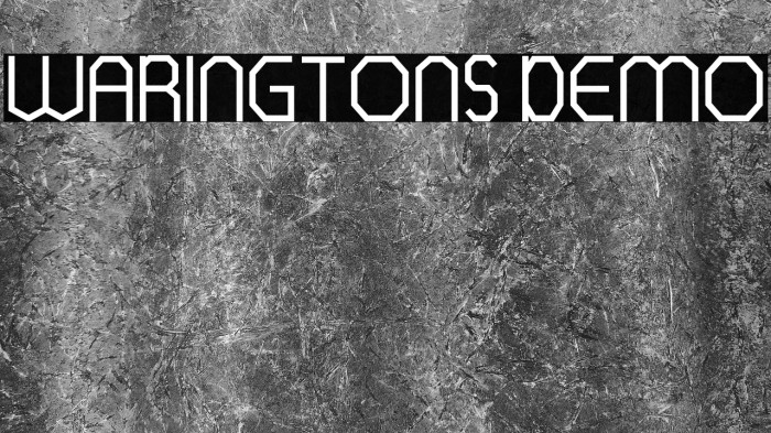 WARINGTONS DEMO Example 1