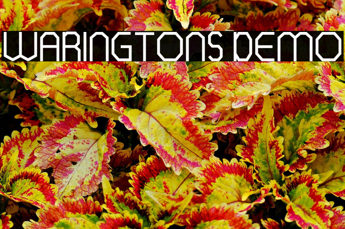 WARINGTONS DEMO Example 2