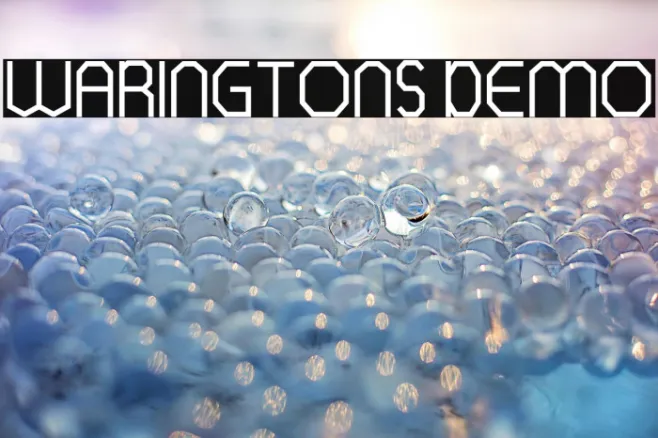 WARINGTONS DEMO Example 3