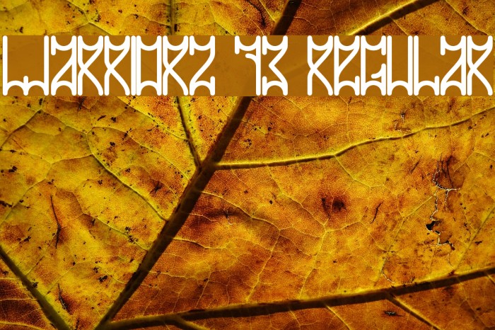 WARRIORZ 73 Regular Font examples