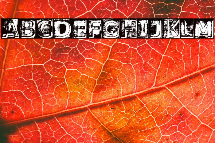 WASHED HANDS PERSONAL USE Regular Example 1