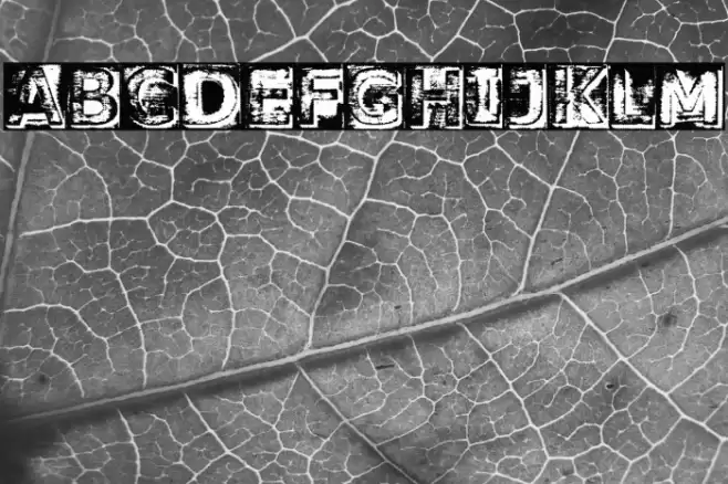 WASHED HANDS PERSONAL USE Regular Font examples