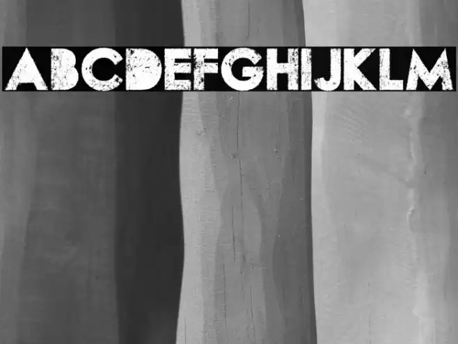 WASTED PERSONAL USE Regular Font examples