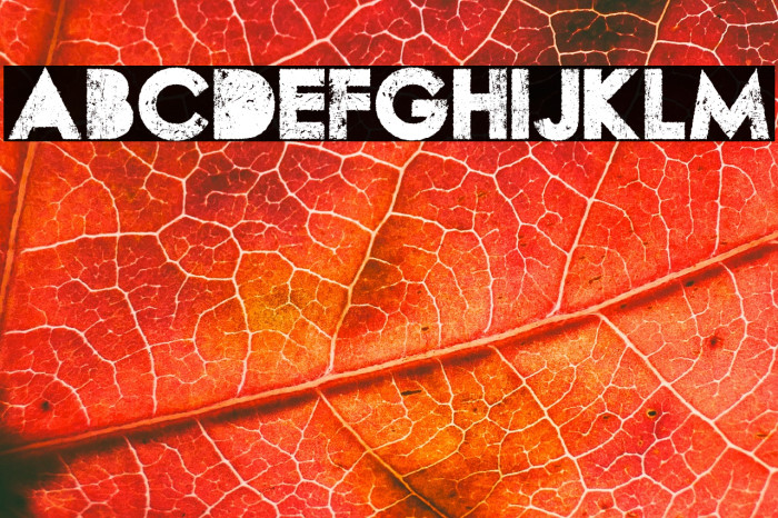 WASTED PERSONAL USE Regular Example 3