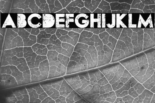 WASTED PERSONAL USE Regular Font examples