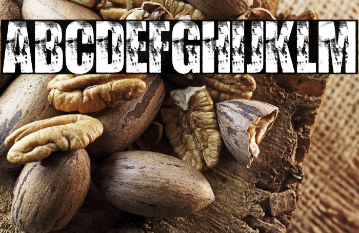 WATCHER PERSONAL USE Bold Example 3