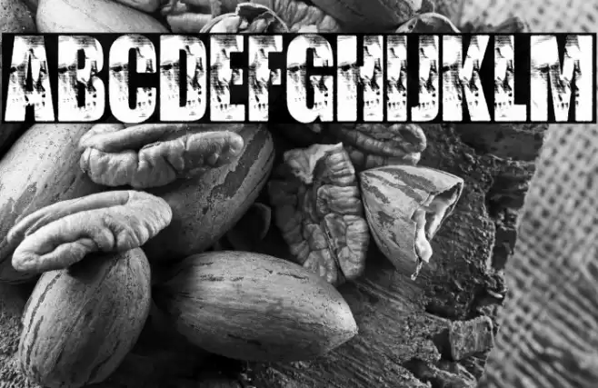 WATCHER PERSONAL USE Bold Font examples