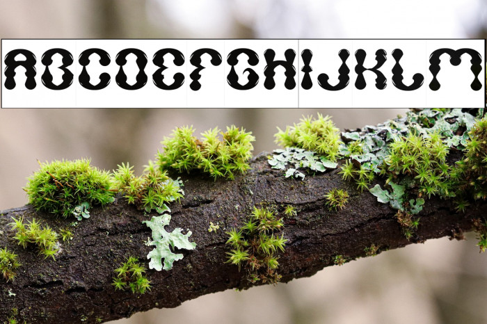 WATER DROP-Inverse Example 3