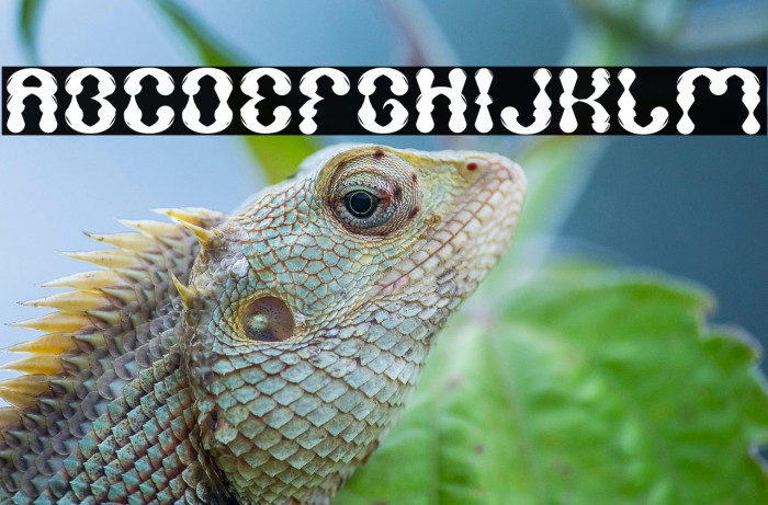 WATER DROP Example 2