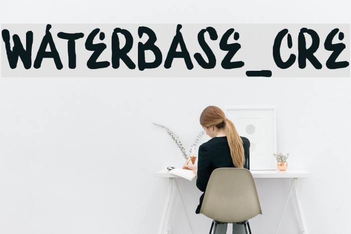 WATERBASE_CRE Polices examples