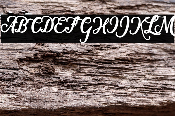 WATERCOLORS CLEAN PERSONAL USE Italic Example 1