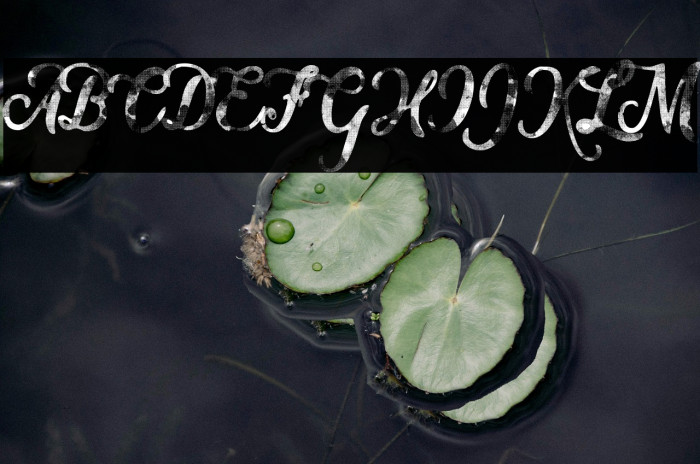 WATERCOLORS PERSONAL USE Italic Example 2