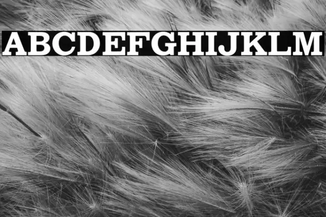 WATSON Font examples