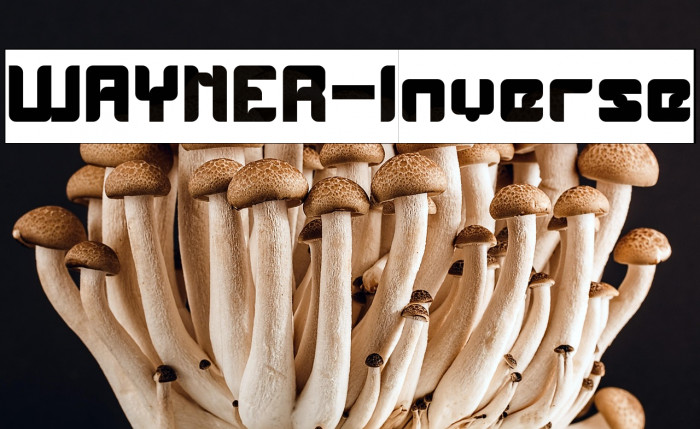 WAYNER-Inverse Example 1