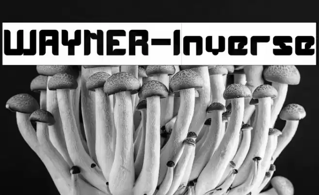 WAYNER-Inverse Font examples