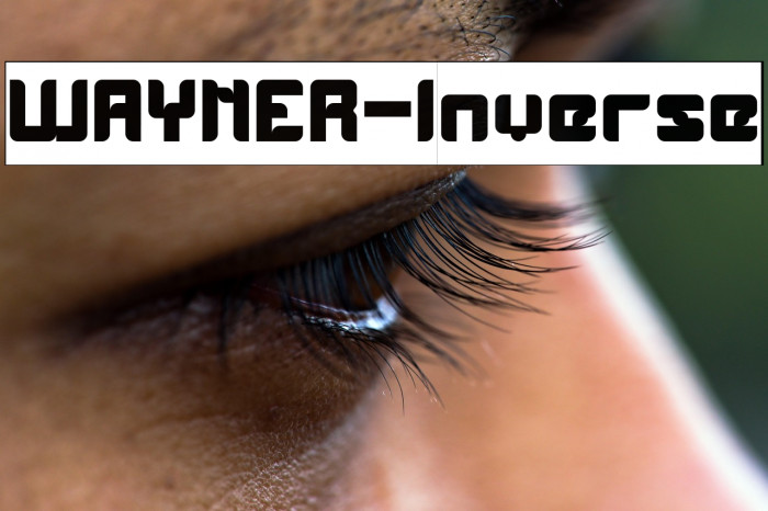 WAYNER-Inverse Example 3