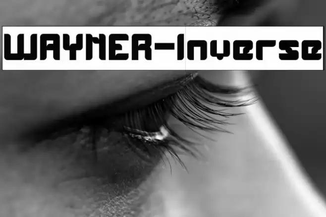 WAYNER-Inverse Font examples