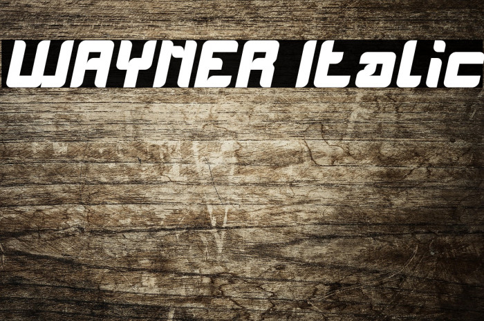 WAYNER Italic Example 1