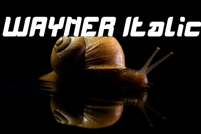 WAYNER Italic Example 2
