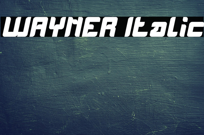 WAYNER Italic Example 3