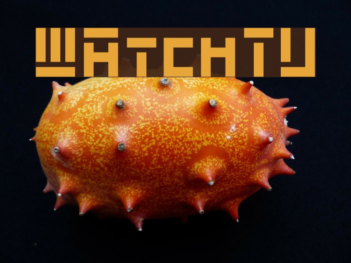 WAtchTV Font examples