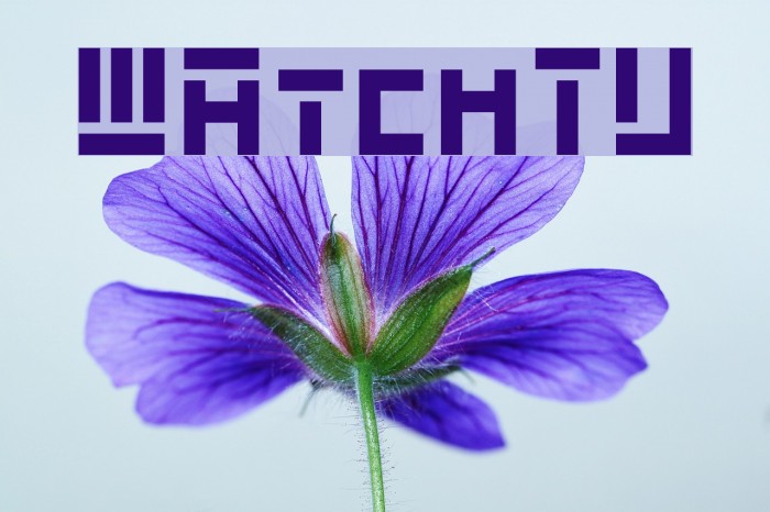 WAtchTV Font examples