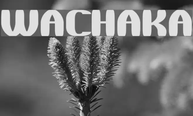 WaChaKa Font examples