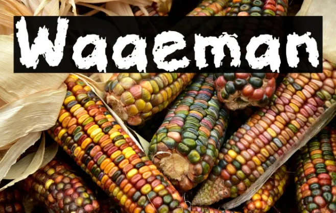 Waaeman Example 2