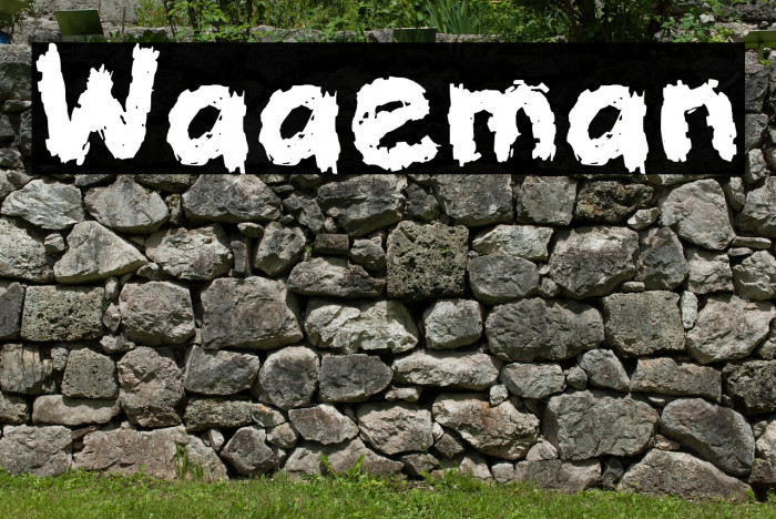 Waaeman Example 3