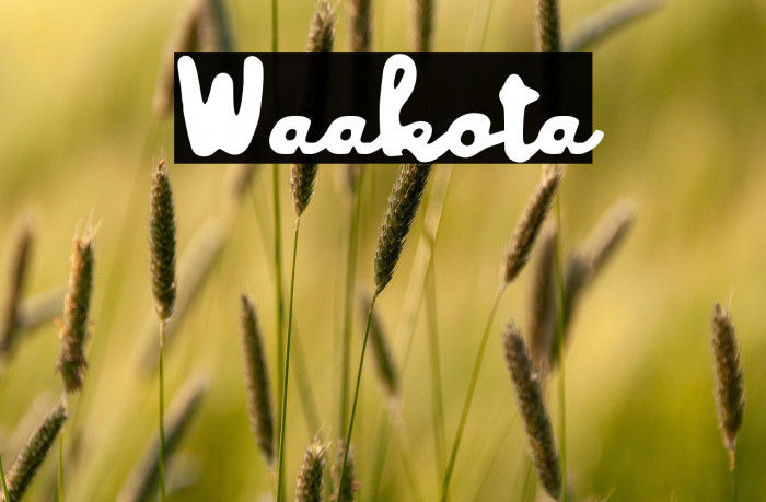 Waakota Example 1