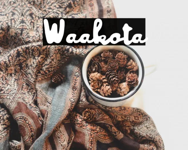 Waakota Example 2
