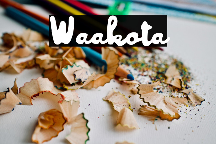 Waakota Example 3