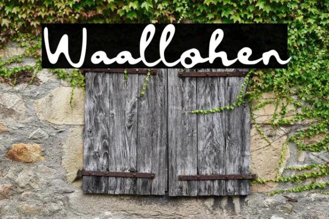Waallohen Example 2