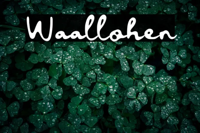 Waallohen Example 3