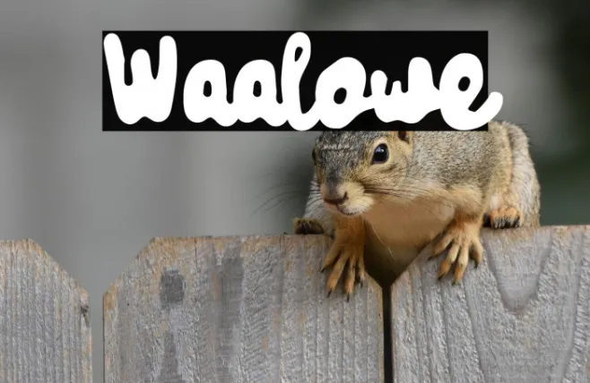 Waalowe Example 2