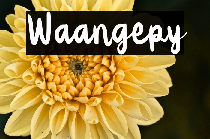 Waangepy Example 1