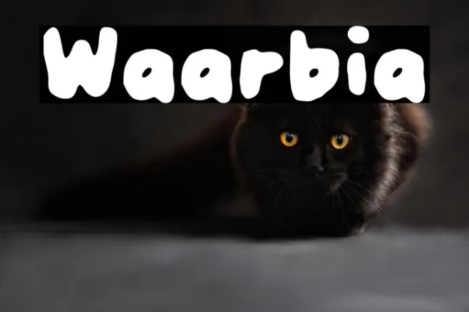Waarbia Example 2