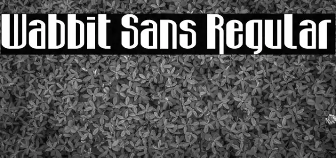 Wabbit Sans Regular Font examples