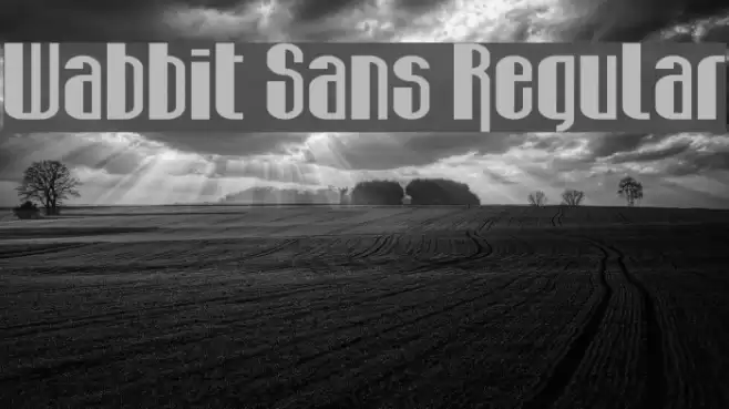 Wabbit Sans Regular Fonte examples