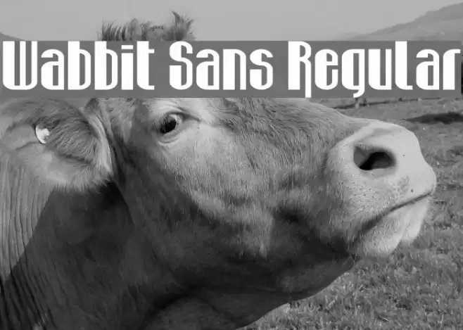 Wabbit Sans Regular Fonte examples